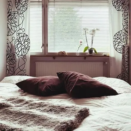 Kaunis Asunto Hyvalla Paikalla Appartement *